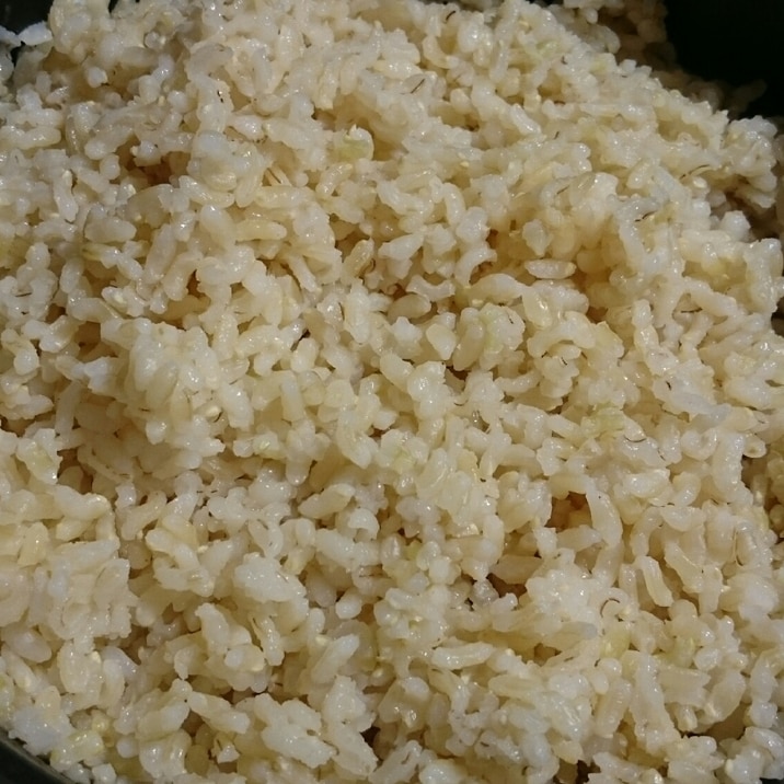 ストウブDE〜発芽玄米＆押麦ご飯